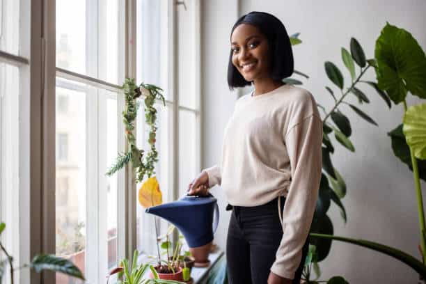 houseplants