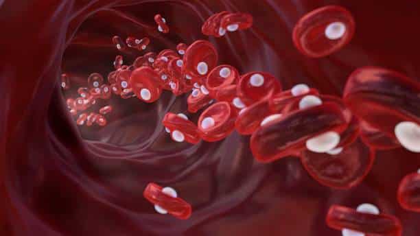 red blood cell count