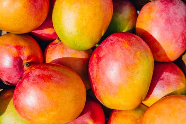 mango benefits