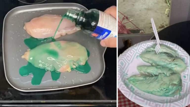 sleepy chicken tiktok trend