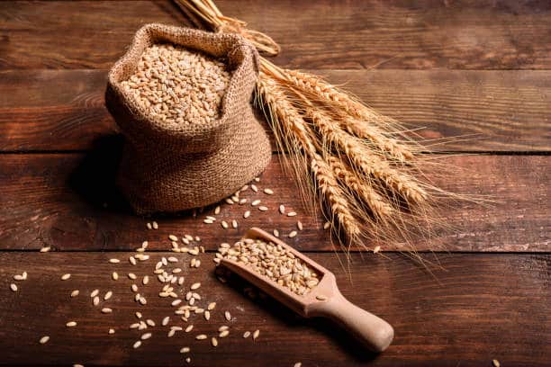 no grain diet