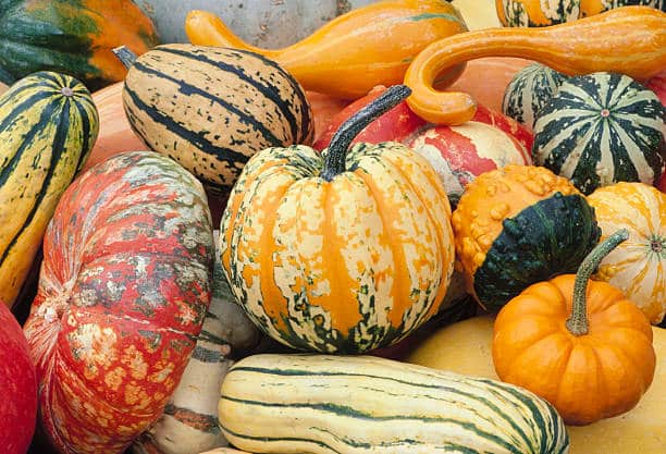 squash for diabetics