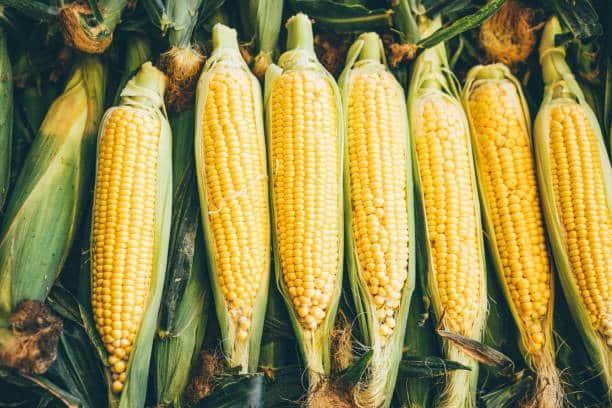 corn benefits