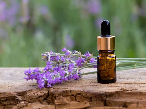oil for scars