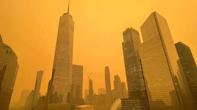 wildfire smoke