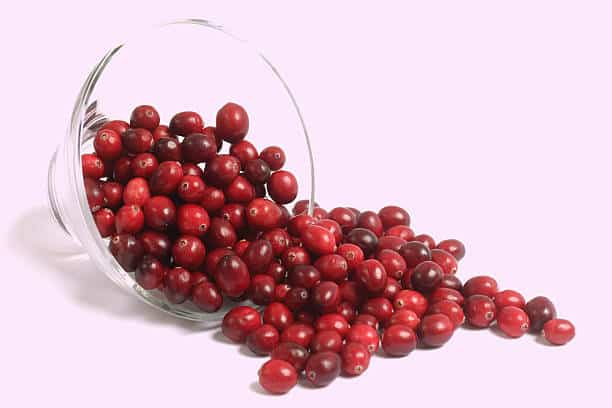 herbs for prostate cancer