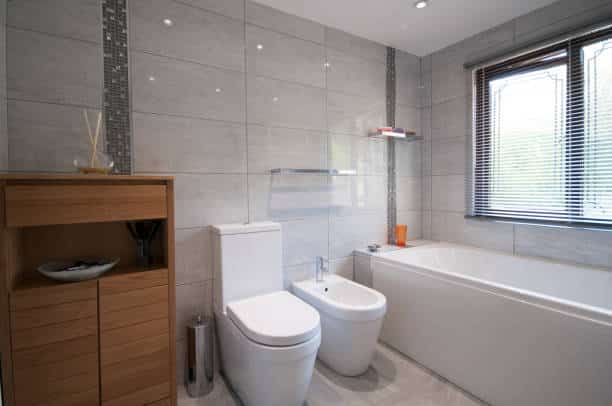 bidet