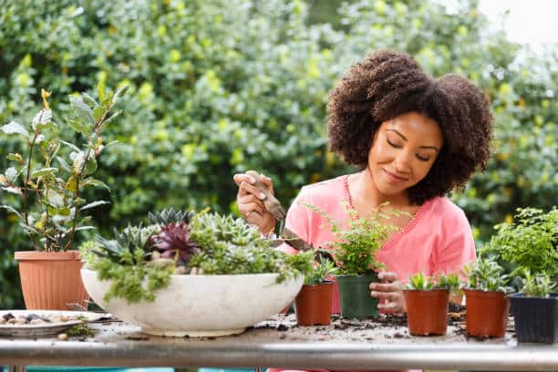 gardening tips