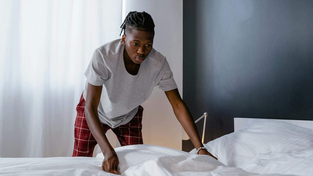 bed bugs