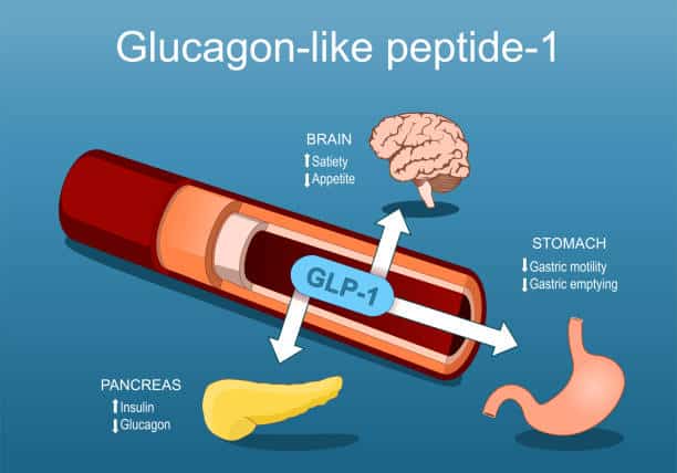 GLP-1