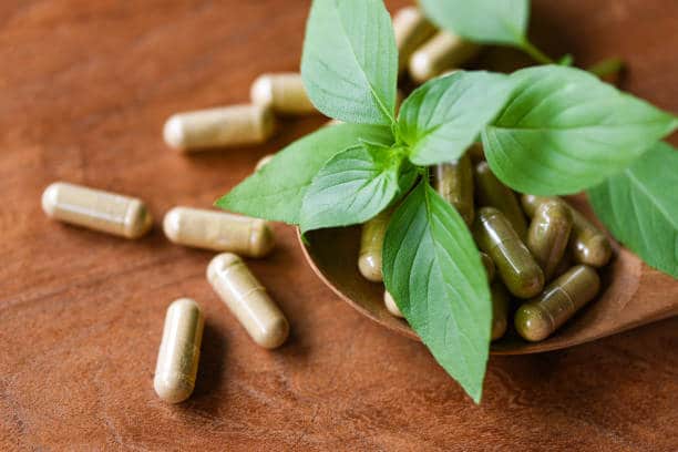 sea moss benefits