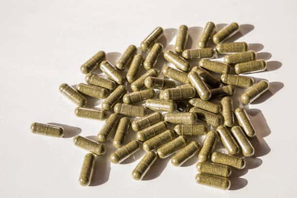 sea moss benefits