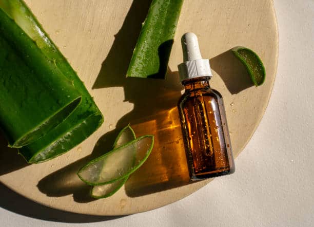 aloe vera