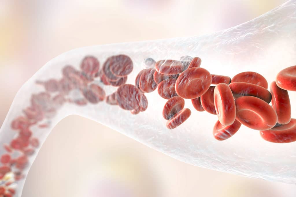 foods that clean your blood