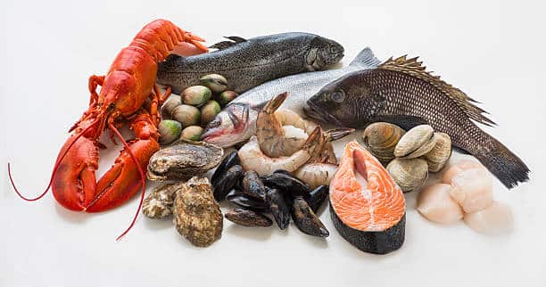 foods