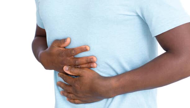 prebiotic vs probiotic for weight loss