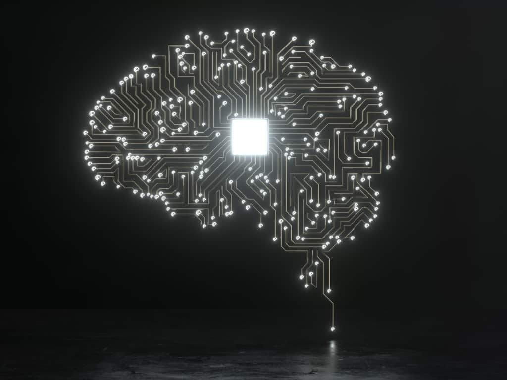 brain