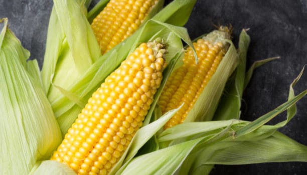 is corn good for you whole corn nutrition