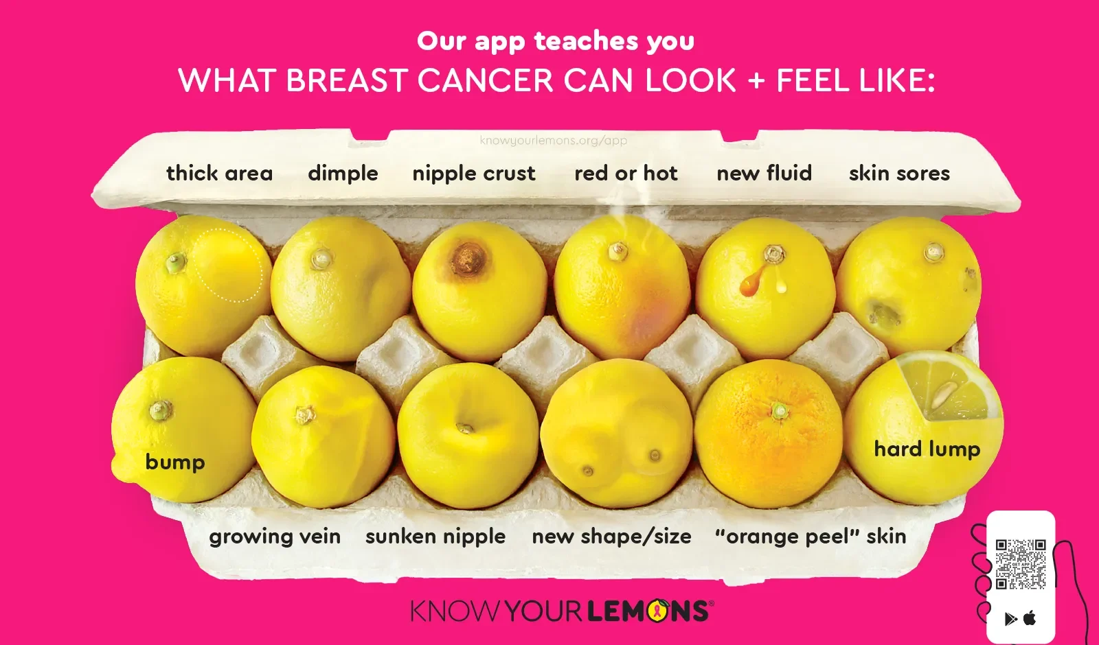 12-signs-of-breast-cancer-knowyourlemons