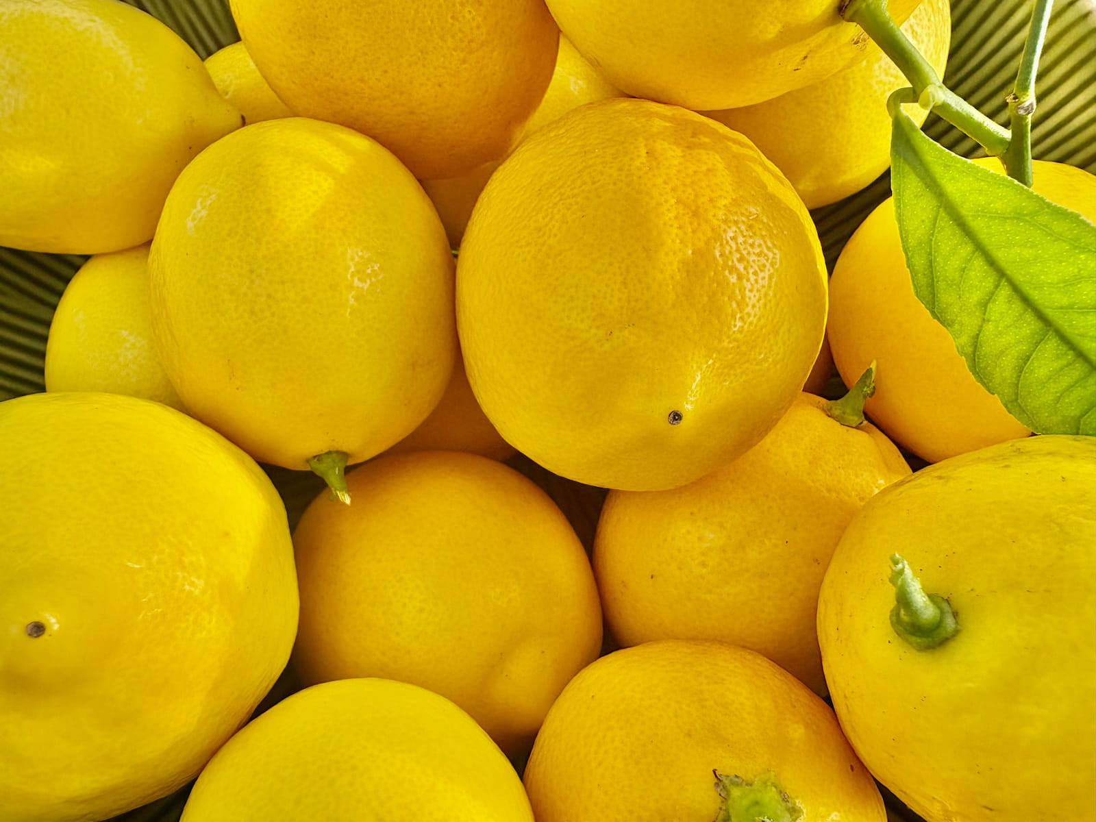 summer fruits