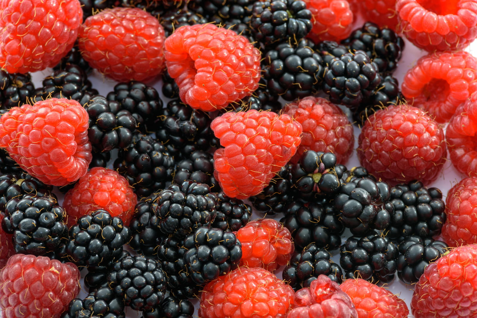 foods